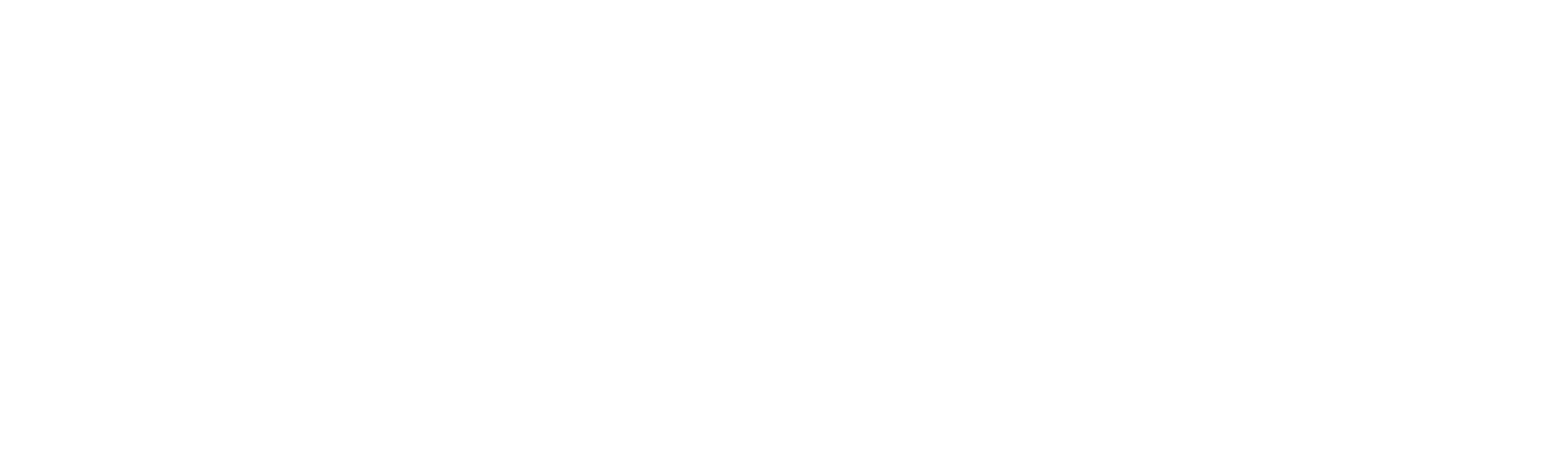 MORAVSKÉ REALITY INVEST s.r.o.